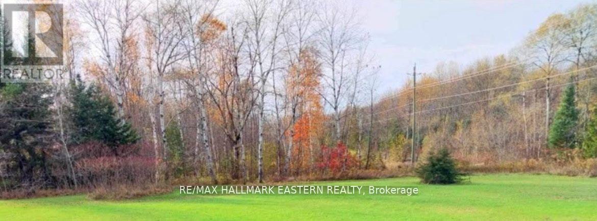 Pt Lt 13 Con 15 Trent River Road, Trent Hills, Ontario  K0L 1L0 - Photo 3 - X12936524