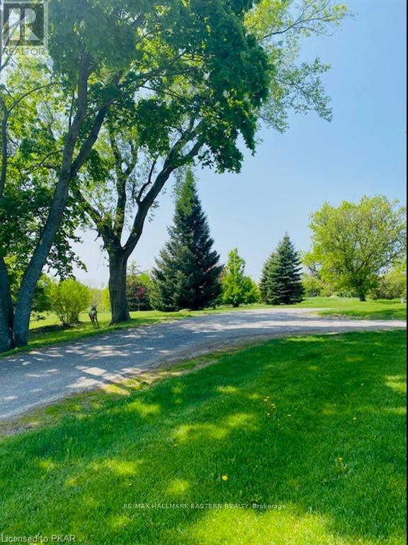 101 - 1354 Young's Point Road, Selwyn, Ontario  K0L 2H0 - Photo 15 - X12937016