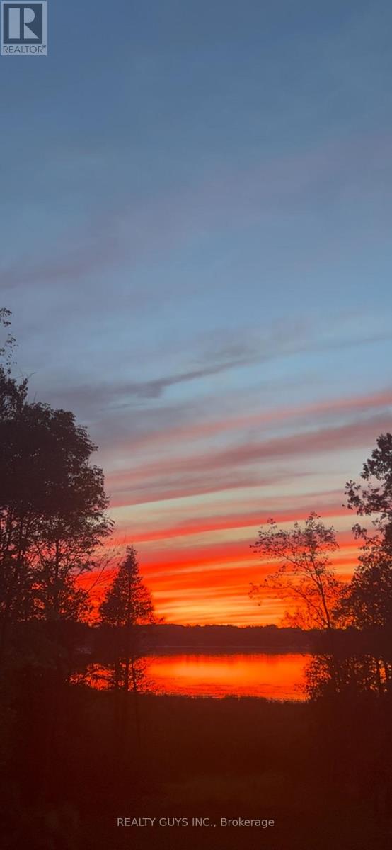 2 Ivy Street, Kawartha Lakes (Emily), Ontario  K0L 2W0 - Photo 41 - X12937110