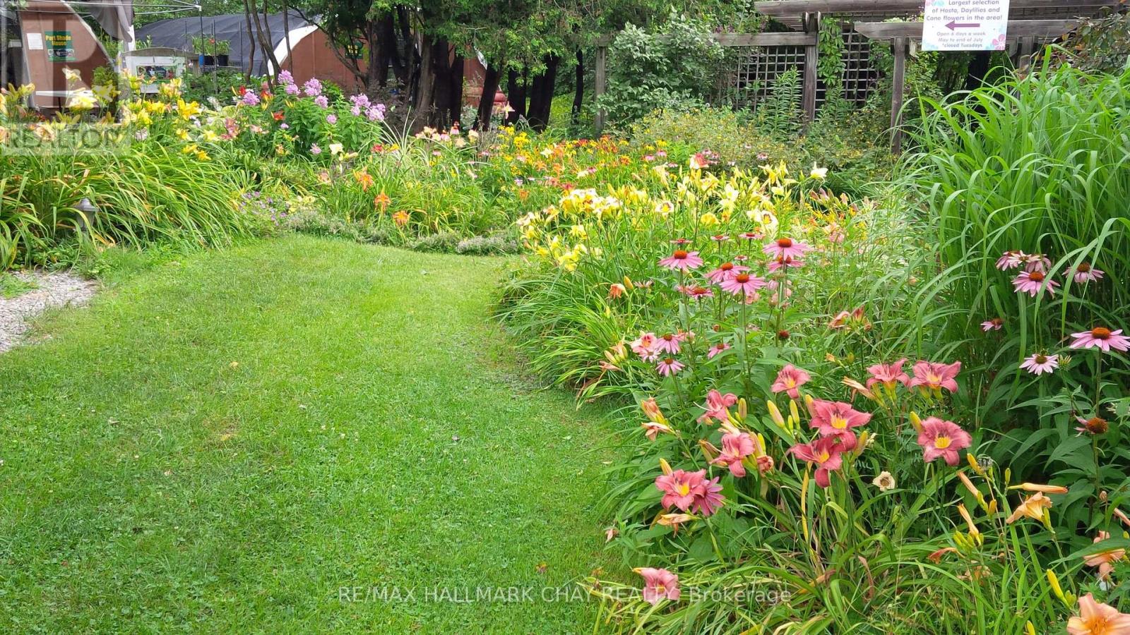 136 County 4 Road, Douro-Dummer, Ontario  K9L 1V6 - Photo 10 - X12937090