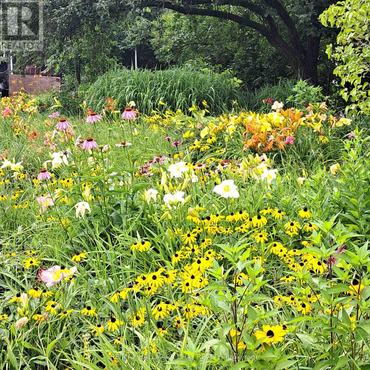 136 County 4 Road, Douro-Dummer, Ontario  K9L 1V6 - Photo 11 - X12937090