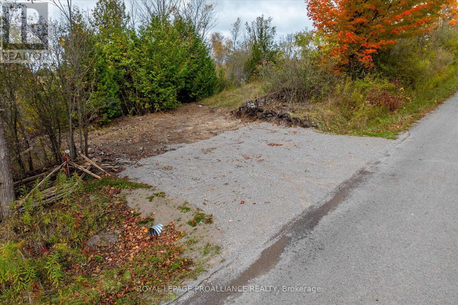 Lot Centre Line, Selwyn, Ontario  K0L 2H0 - Photo 20 - X12939708