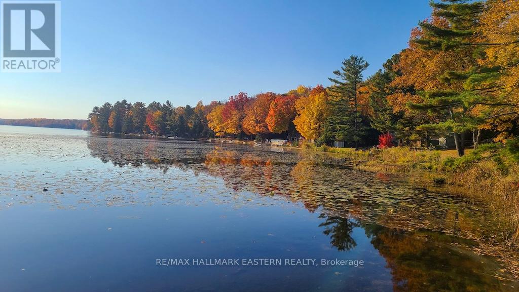 913 Drain Drive, Douro-Dummer, Ontario  K0L 2H0 - Photo 24 - X12939856