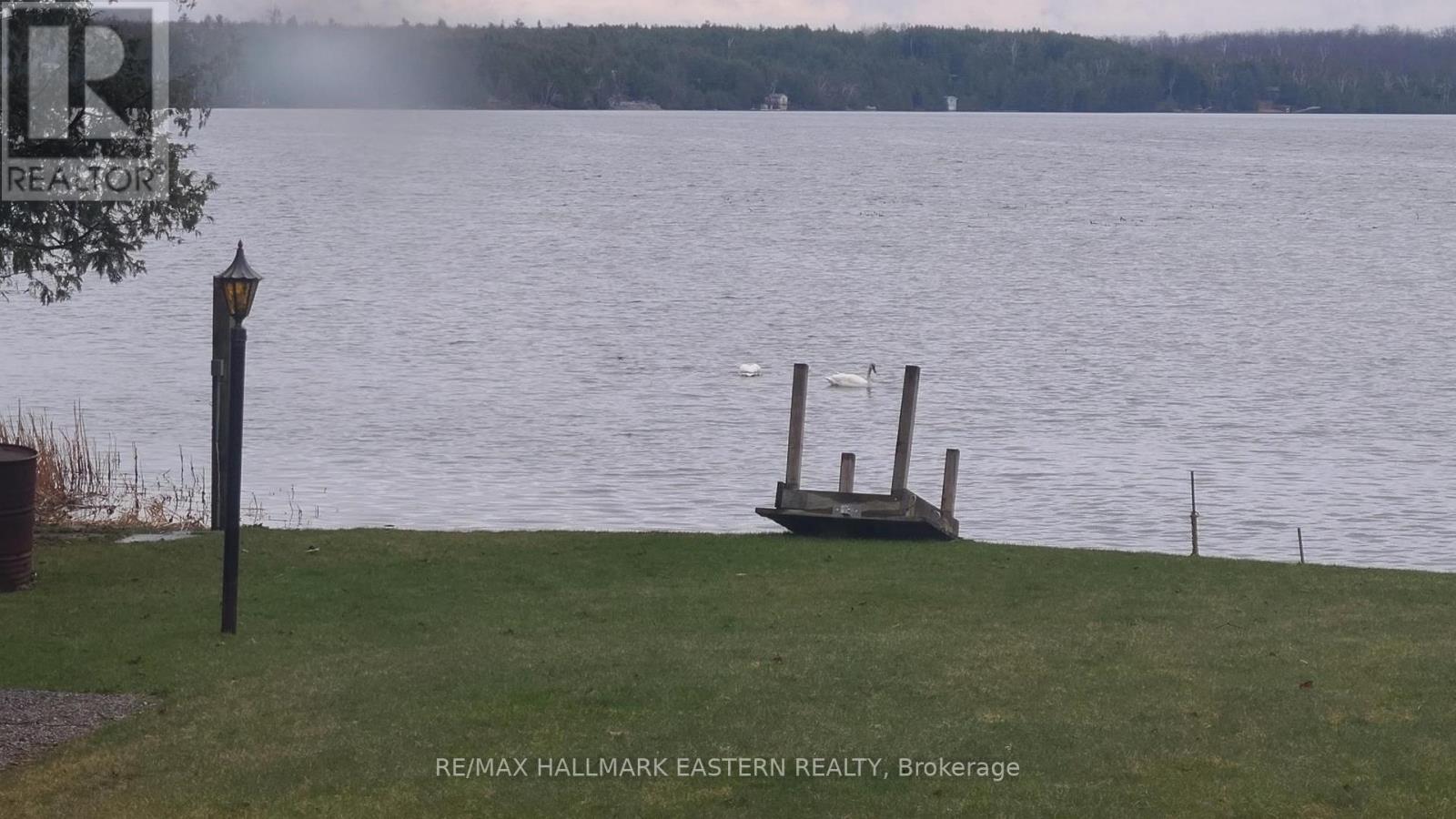 913 Drain Drive, Douro-Dummer, Ontario  K0L 2H0 - Photo 39 - X12939856