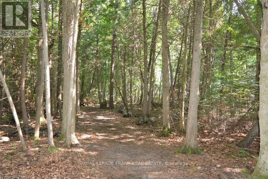 0 Hall Drive, Trent Lakes, Ontario  K0L 1J0 - Photo 2 - X12941012