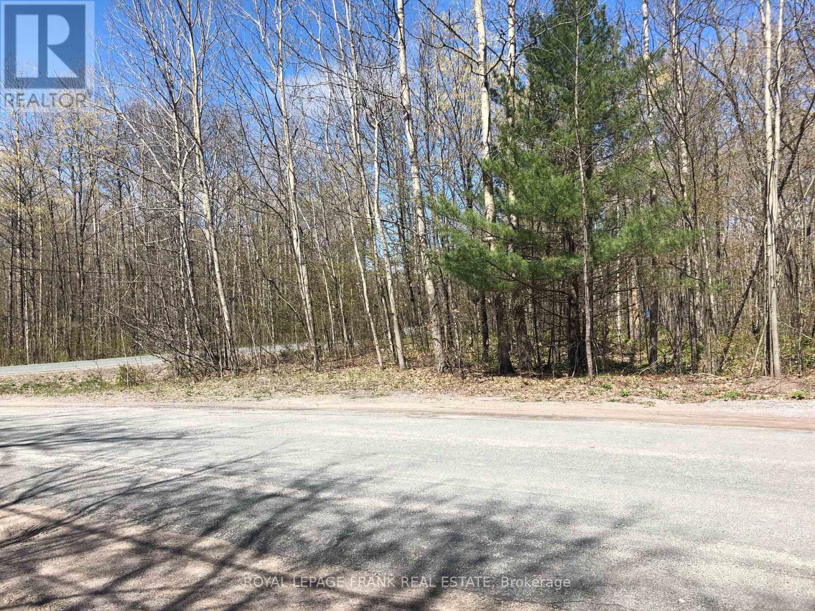 0 Hall Drive, Trent Lakes, Ontario  K0L 1J0 - Photo 4 - X12941012