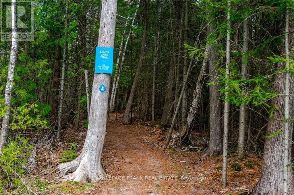 0 Hall Drive, Trent Lakes, Ontario  K0L 1J0 - Photo 5 - X12941012