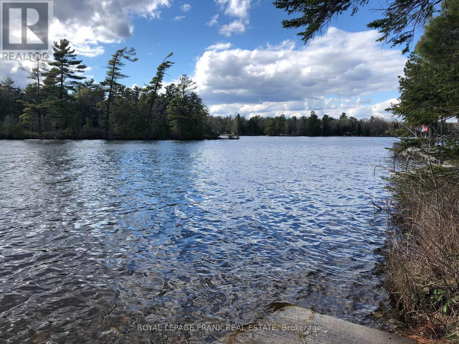 0 Hall Drive, Trent Lakes, Ontario  K0L 1J0 - Photo 8 - X12941012