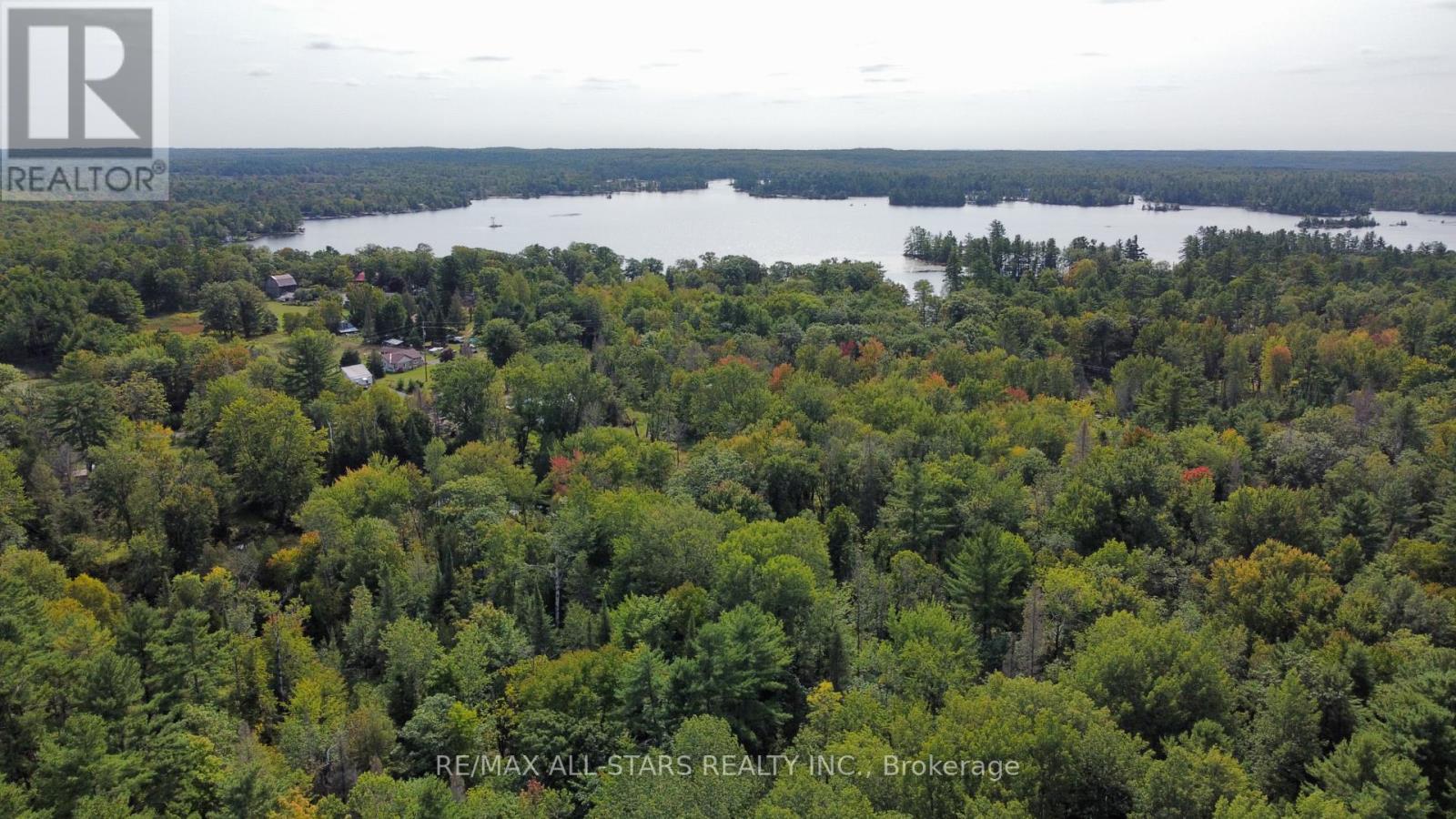 2348 Northey's Bay Road, North Kawartha, Ontario  K0L 2H0 - Photo 7 - X12940998