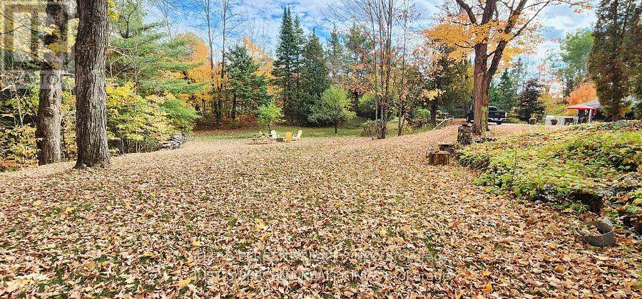1492 County Rd 620 Road, North Kawartha, Ontario  K0L 1A0 - Photo 43 - X12941978
