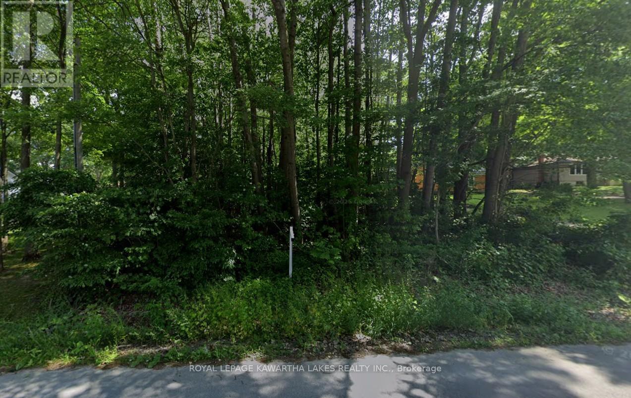 0 Poplar Drive, Hamilton Township (Bewdley), Ontario  K0L 1E0 - Photo 3 - X12942792