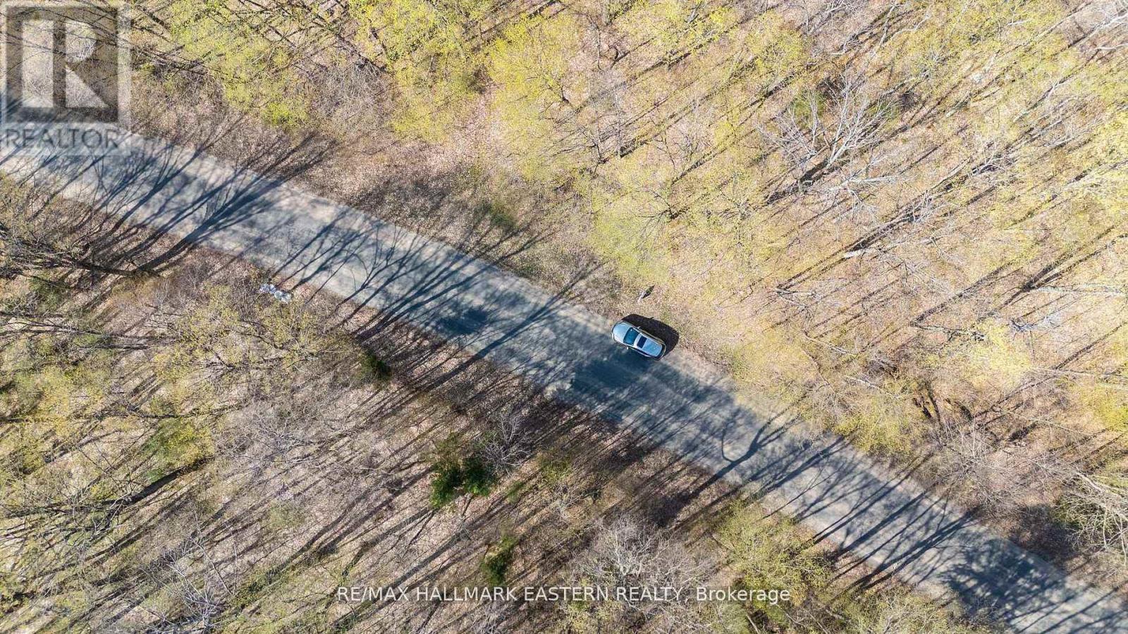 2494 Hadlington Road, Highlands East (Monmouth), Ontario  K0L 3K0 - Photo 10 - X12943202