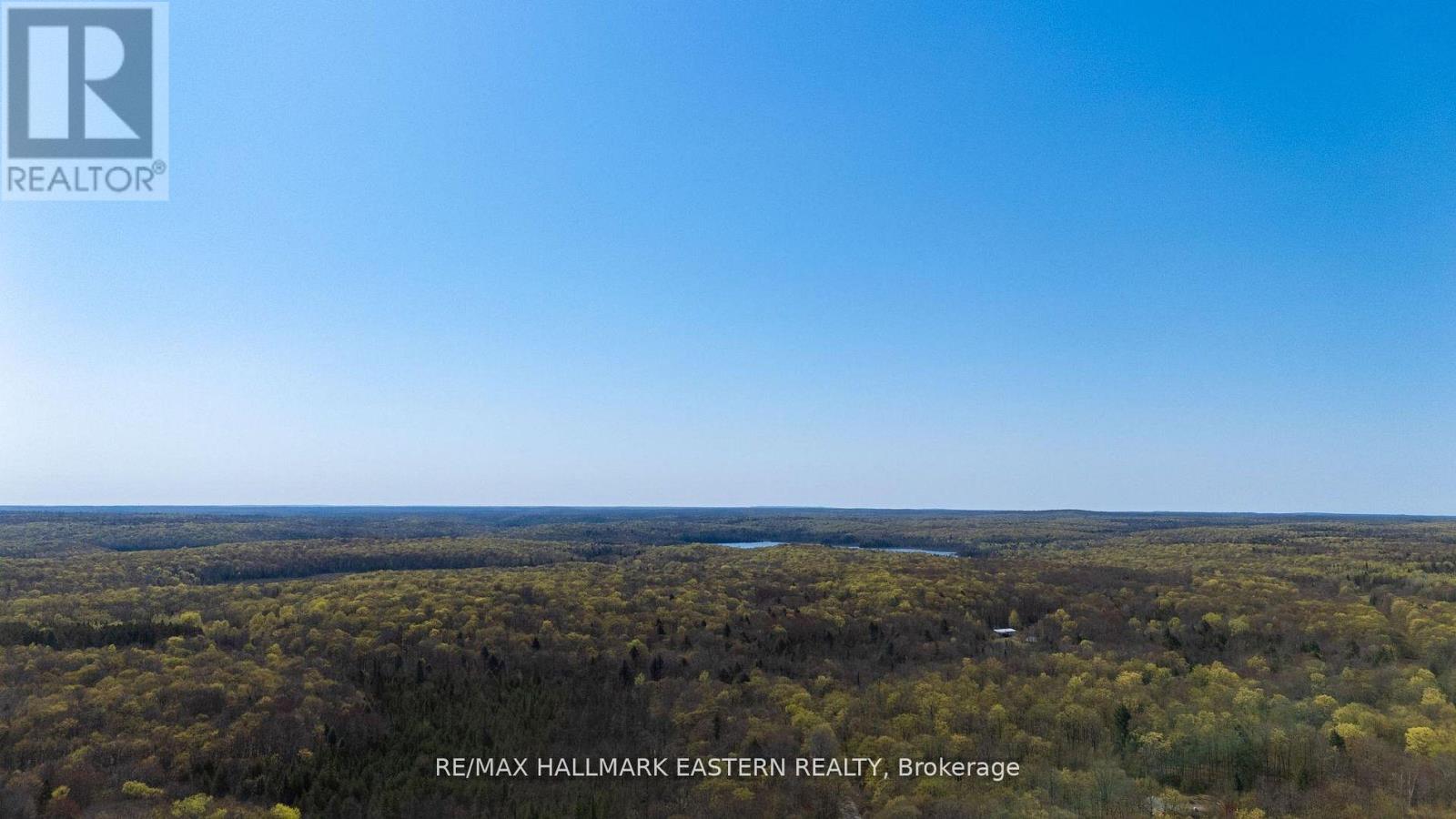 2494 Hadlington Road, Highlands East (Monmouth), Ontario  K0L 3K0 - Photo 11 - X12943202