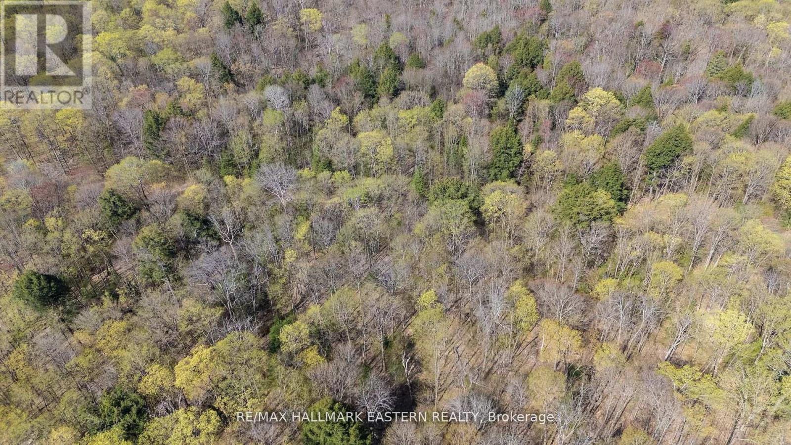 2494 Hadlington Road, Highlands East (Monmouth), Ontario  K0L 3K0 - Photo 6 - X12943202