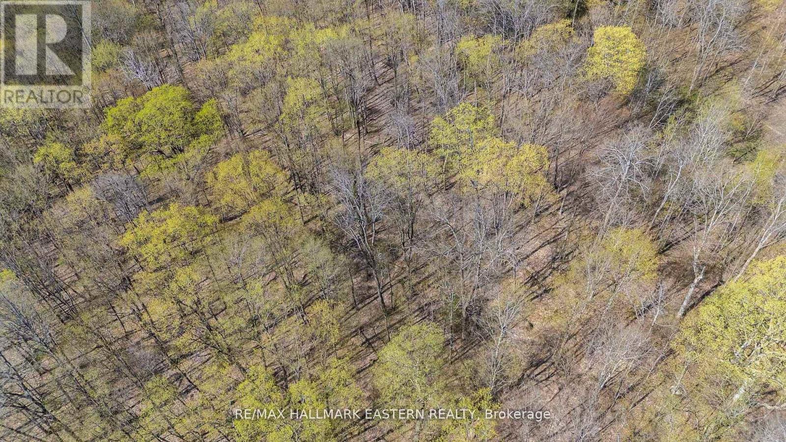 2494 Hadlington Road, Highlands East (Monmouth), Ontario  K0L 3K0 - Photo 7 - X12943202