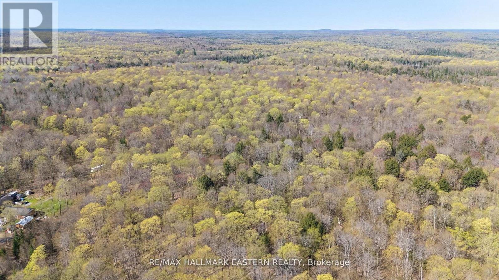 2494 Hadlington Road, Highlands East (Monmouth), Ontario  K0L 3K0 - Photo 8 - X12943202