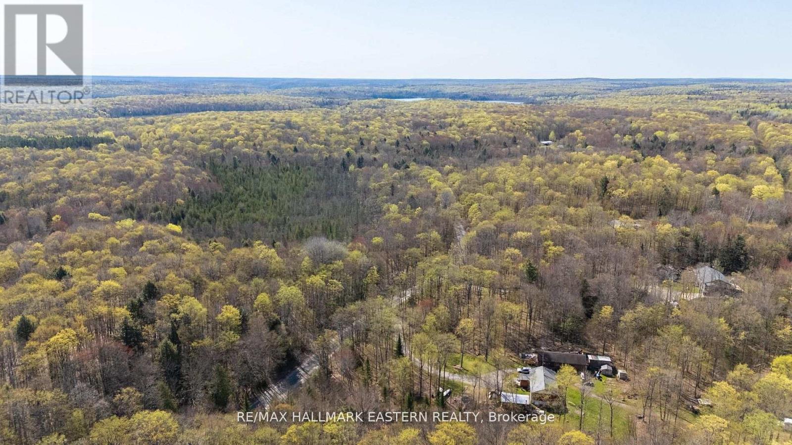 2494 Hadlington Road, Highlands East (Monmouth), Ontario  K0L 3K0 - Photo 9 - X12943202