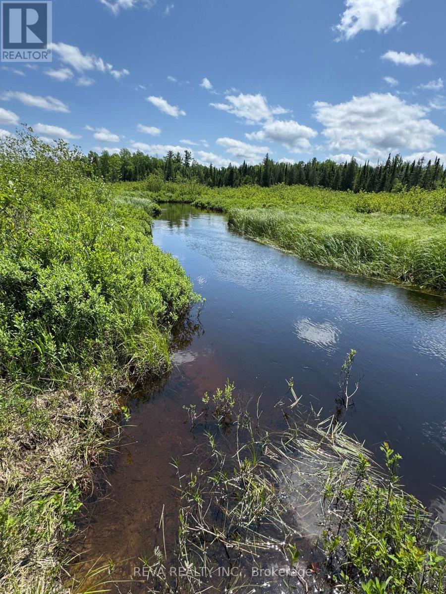 0 Williams Lake Road, Hastings Highlands (Mcclure Ward), Ontario  K0L 2S0 - Photo 14 - X12943894