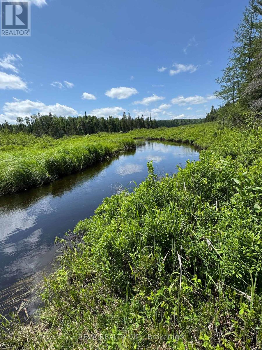 0 Williams Lake Road, Hastings Highlands (Mcclure Ward), Ontario  K0L 2S0 - Photo 4 - X12943894