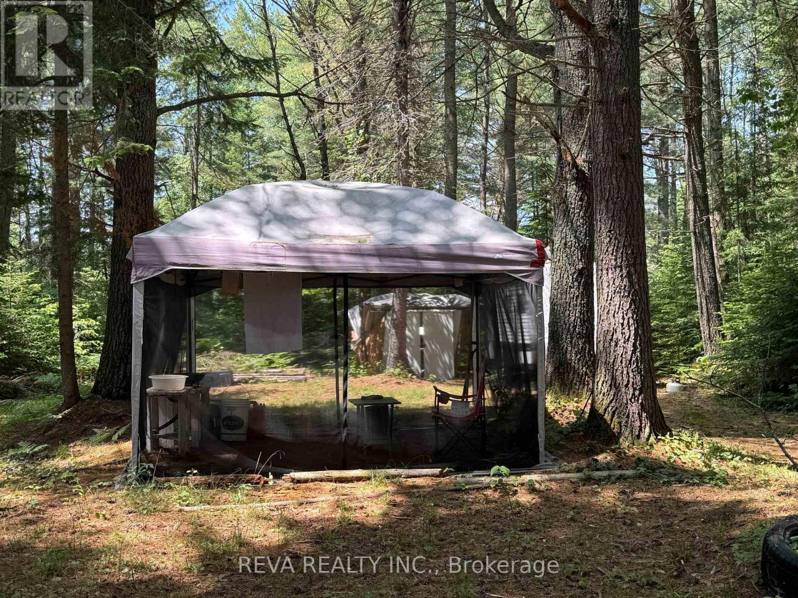 0 Williams Lake Road, Hastings Highlands (Mcclure Ward), Ontario  K0L 2S0 - Photo 5 - X12943894