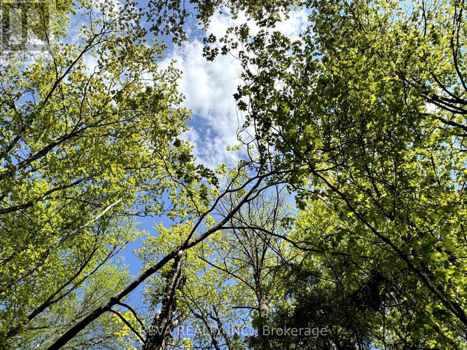 0 Salmon Trout Lake Road, Hastings Highlands (Monteagle Ward), Ontario  K0L 1C0 - Photo 10 - X12944268