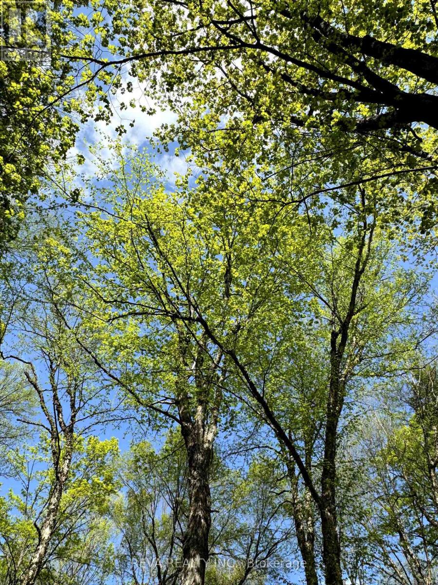 0 Salmon Trout Lake Road, Hastings Highlands (Monteagle Ward), Ontario  K0L 1C0 - Photo 11 - X12944268