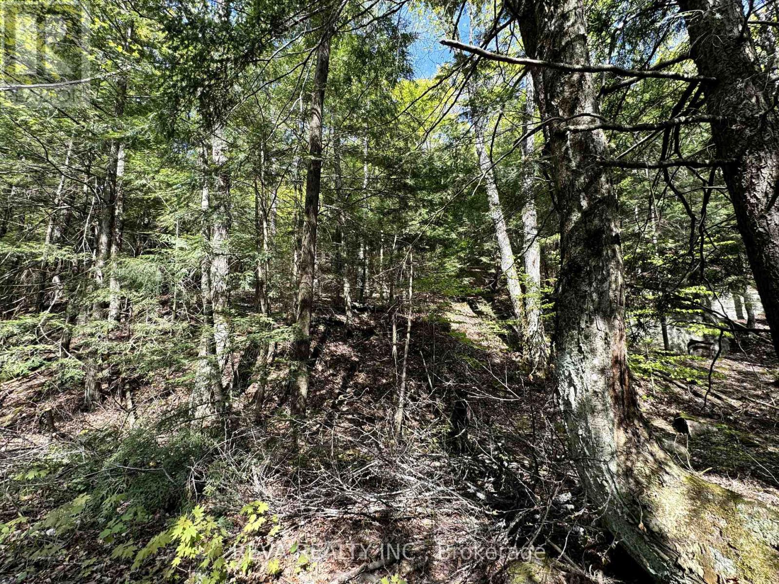 0 Salmon Trout Lake Road, Hastings Highlands (Monteagle Ward), Ontario  K0L 1C0 - Photo 12 - X12944268