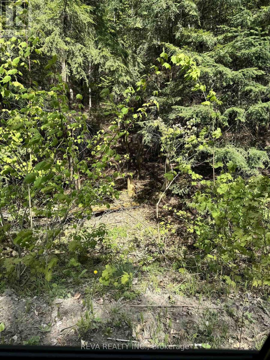 0 Salmon Trout Lake Road, Hastings Highlands (Monteagle Ward), Ontario  K0L 1C0 - Photo 13 - X12944268