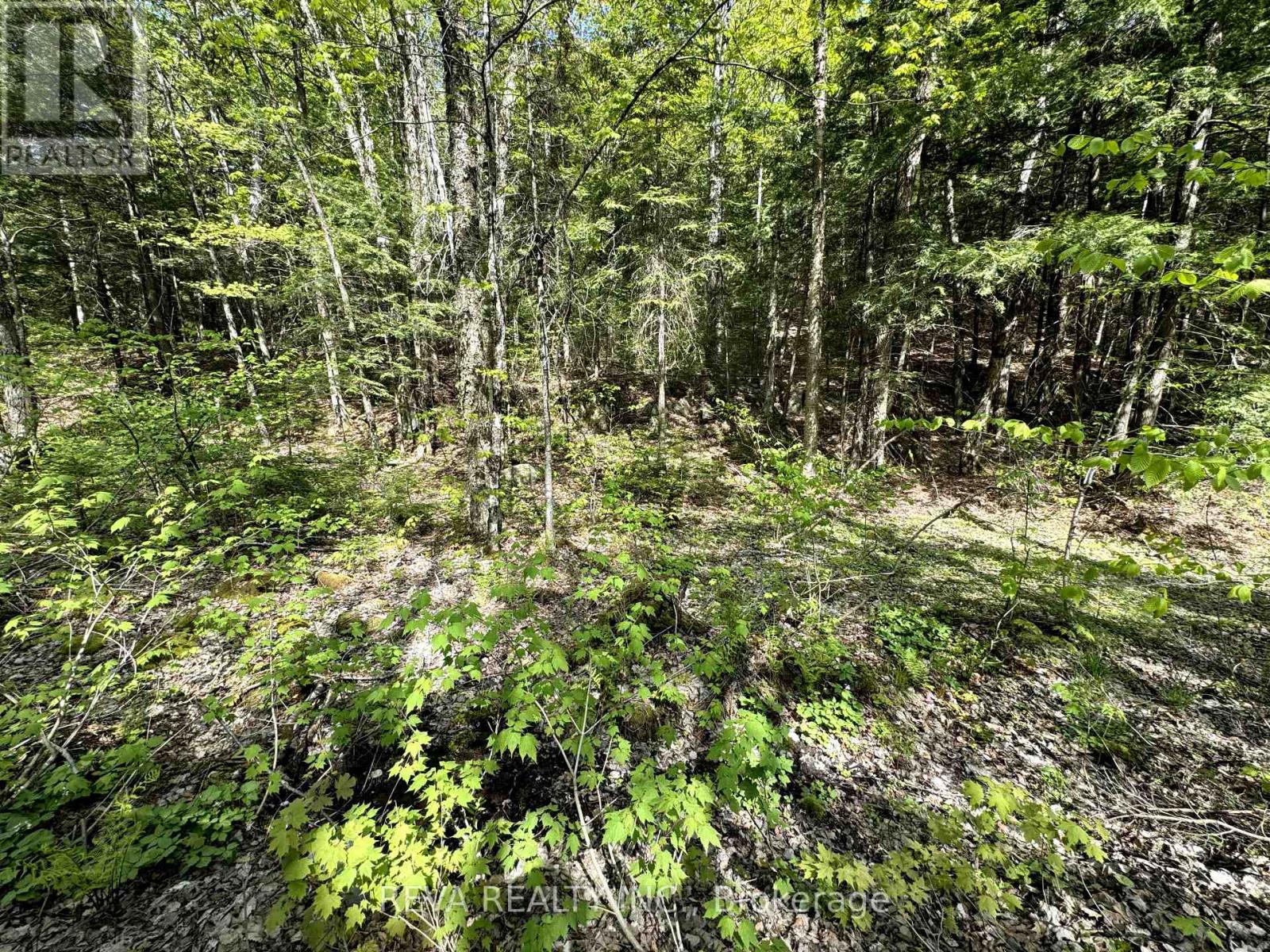 0 Salmon Trout Lake Road, Hastings Highlands (Monteagle Ward), Ontario  K0L 1C0 - Photo 4 - X12944268