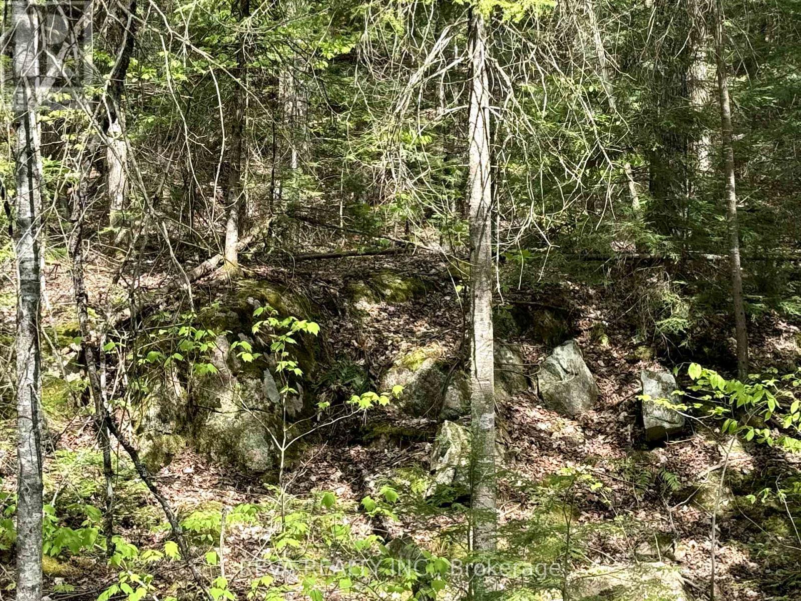 0 Salmon Trout Lake Road, Hastings Highlands (Monteagle Ward), Ontario  K0L 1C0 - Photo 5 - X12944268