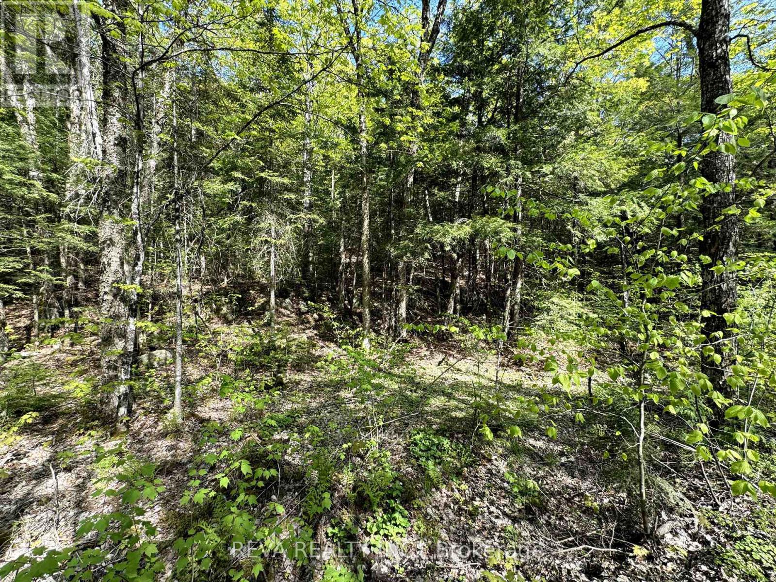 0 Salmon Trout Lake Road, Hastings Highlands (Monteagle Ward), Ontario  K0L 1C0 - Photo 6 - X12944268