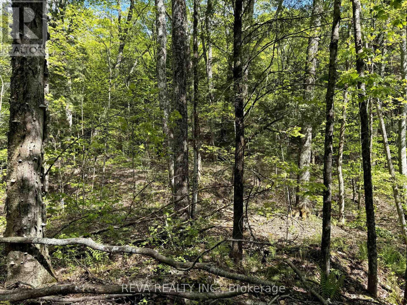 0 Salmon Trout Lake Road, Hastings Highlands (Monteagle Ward), Ontario  K0L 1C0 - Photo 7 - X12944268