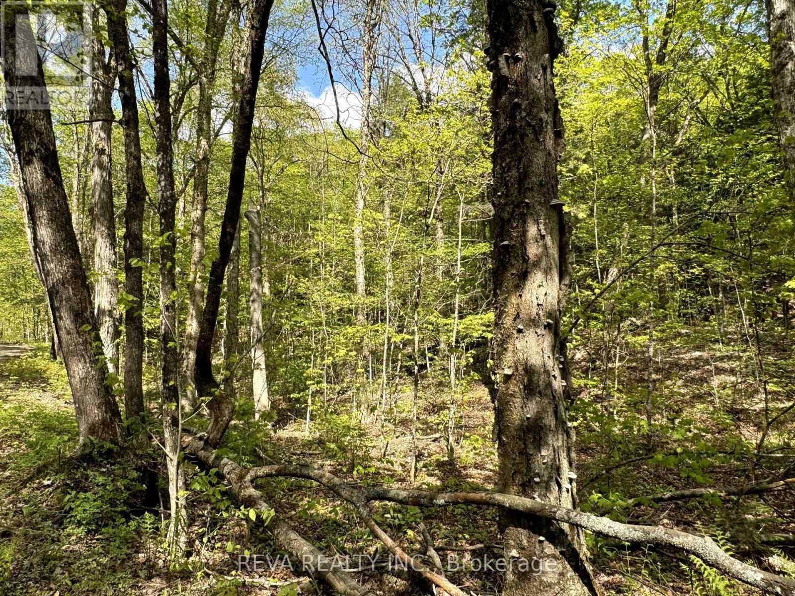 0 Salmon Trout Lake Road, Hastings Highlands (Monteagle Ward), Ontario  K0L 1C0 - Photo 9 - X12944268