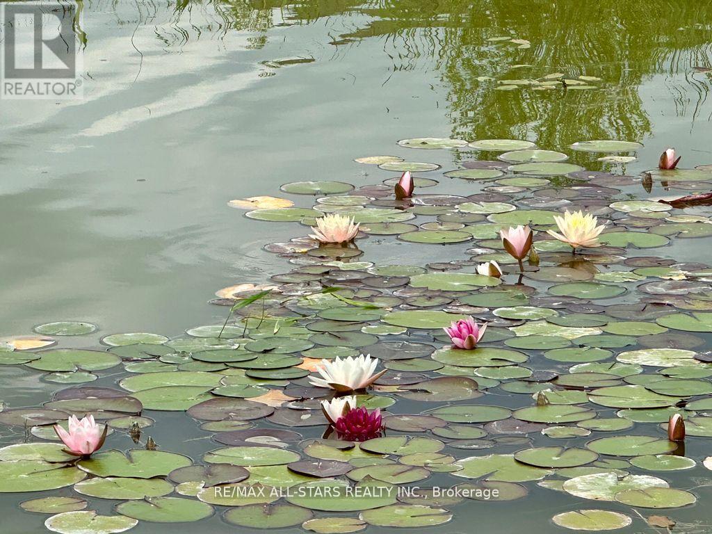 6 - 21 Hampton Lane, Selwyn, Ontario  K0L 2H0 - Photo 31 - X12944302