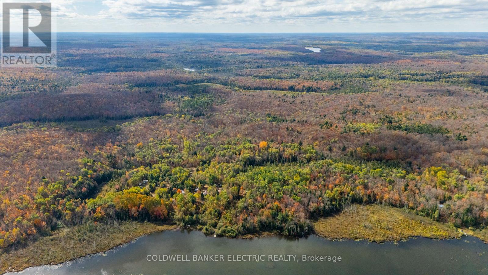 1304 Lower Monmouth Lake Road, Highlands East (Monmouth), Ontario  K0L 2Y0 - Photo 12 - X12947334