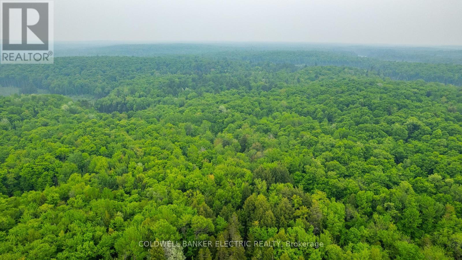 1304 Lower Monmouth Lake Road, Highlands East (Monmouth), Ontario  K0L 2Y0 - Photo 21 - X12947334