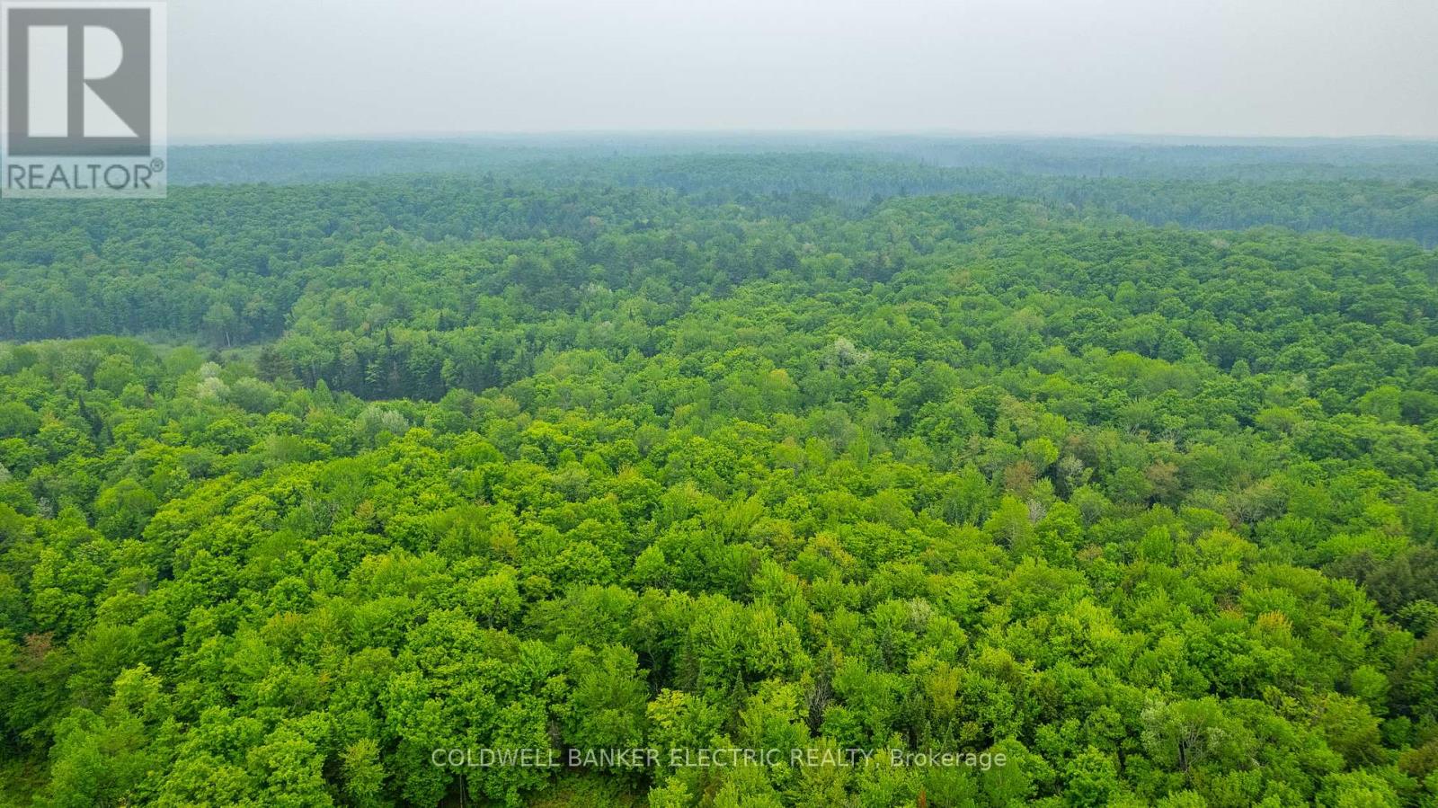 1304 Lower Monmouth Lake Road, Highlands East (Monmouth), Ontario  K0L 2Y0 - Photo 22 - X12947334