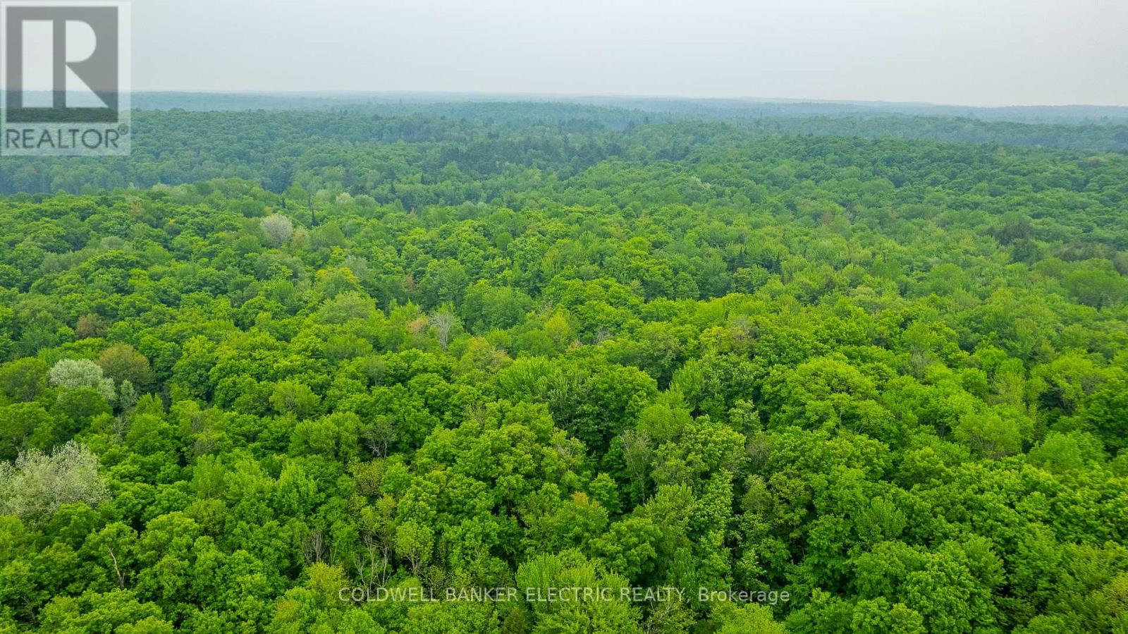 1304 Lower Monmouth Lake Road, Highlands East (Monmouth), Ontario  K0L 2Y0 - Photo 24 - X12947334