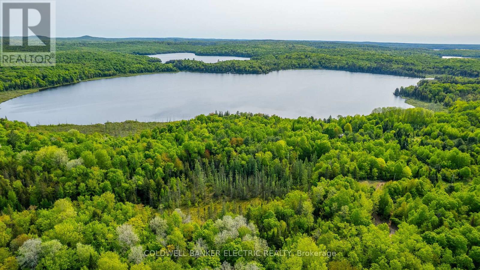 1304 Lower Monmouth Lake Road, Highlands East (Monmouth), Ontario  K0L 2Y0 - Photo 36 - X12947334