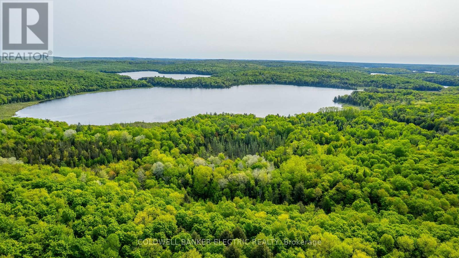 1304 Lower Monmouth Lake Road, Highlands East (Monmouth), Ontario  K0L 2Y0 - Photo 37 - X12947334