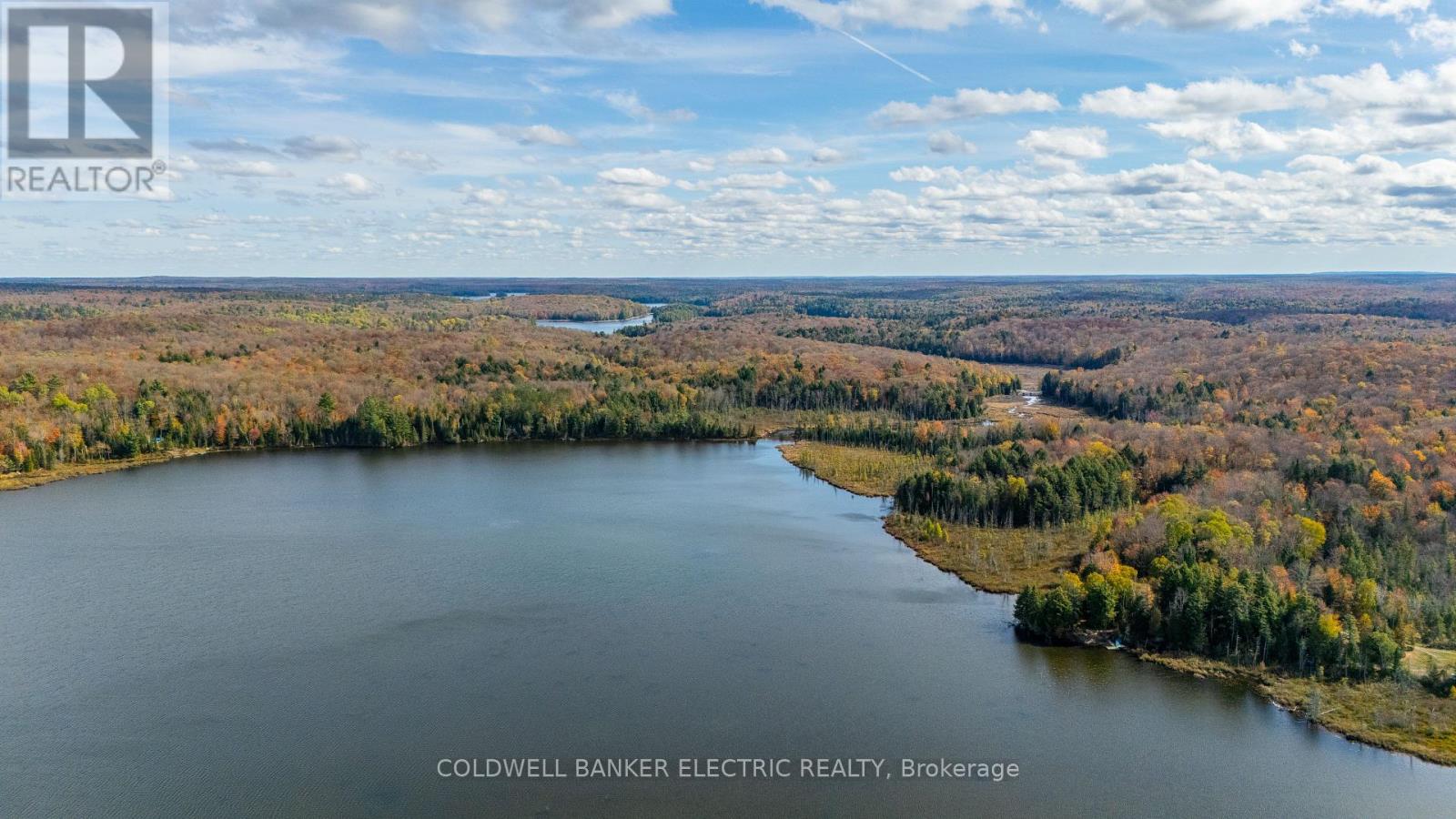 1304 Lower Monmouth Lake Road, Highlands East (Monmouth), Ontario  K0L 2Y0 - Photo 4 - X12947334