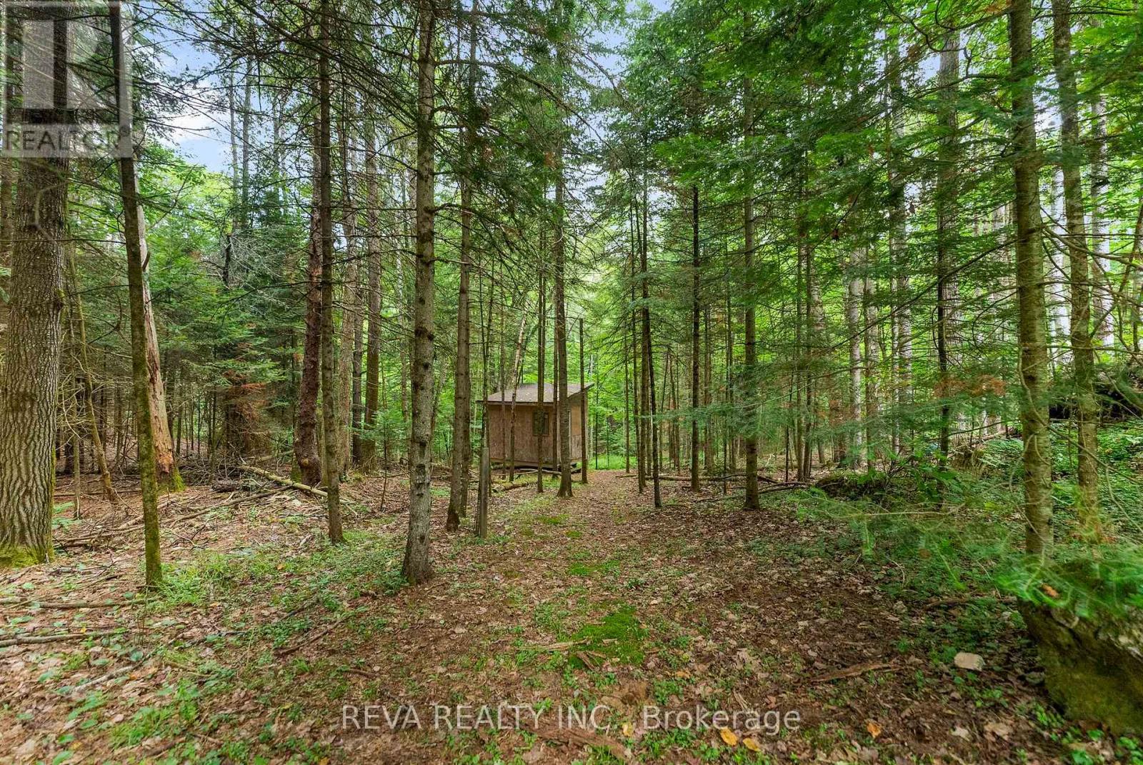 78 Bridge Street E, Bancroft (Bancroft Ward), Ontario  K0L 1C0 - Photo 21 - X12948130