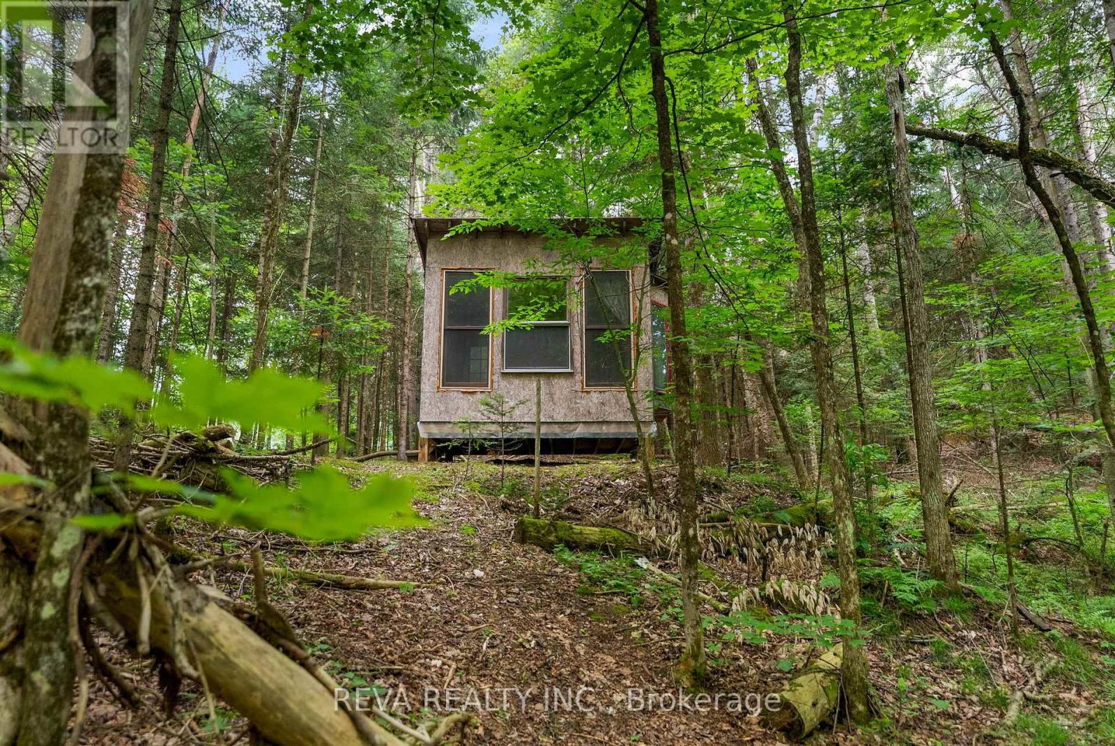 78 Bridge Street E, Bancroft (Bancroft Ward), Ontario  K0L 1C0 - Photo 22 - X12948130