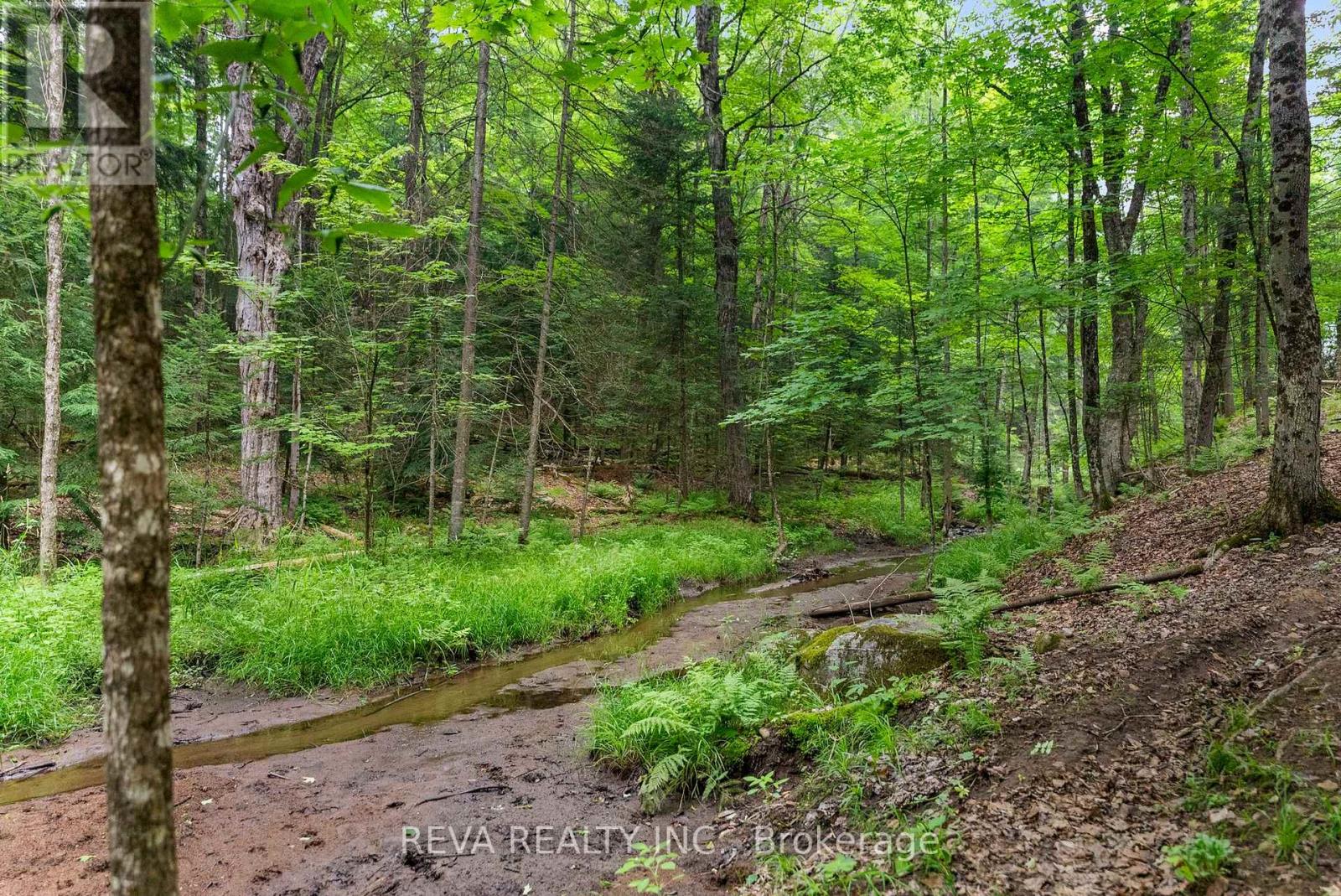 78 Bridge Street E, Bancroft (Bancroft Ward), Ontario  K0L 1C0 - Photo 29 - X12948130
