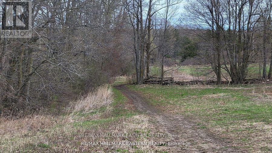 1737 Thirteenth Line, Selwyn, Ontario  K0L 2H0 - Photo 11 - X12949608