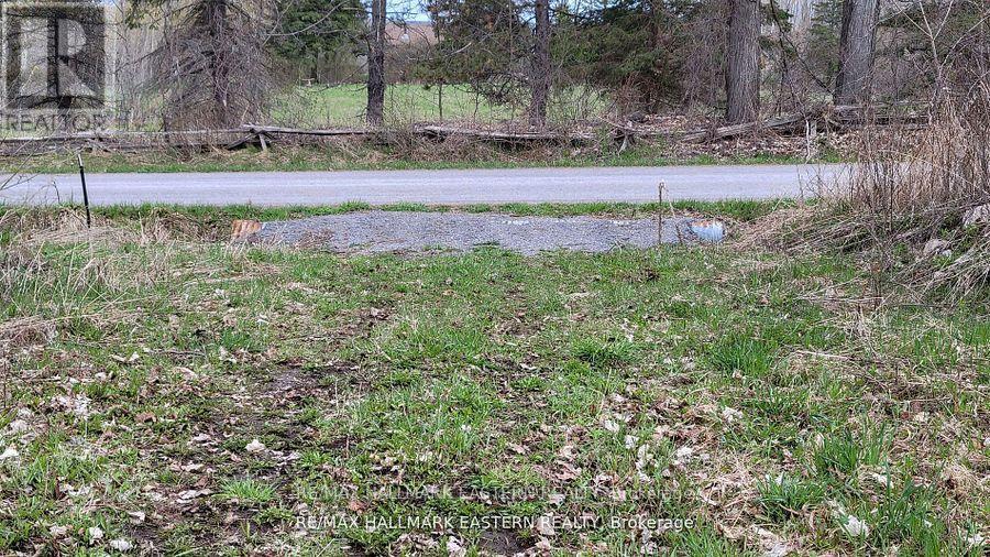 1737 Thirteenth Line, Selwyn, Ontario  K0L 2H0 - Photo 12 - X12949608