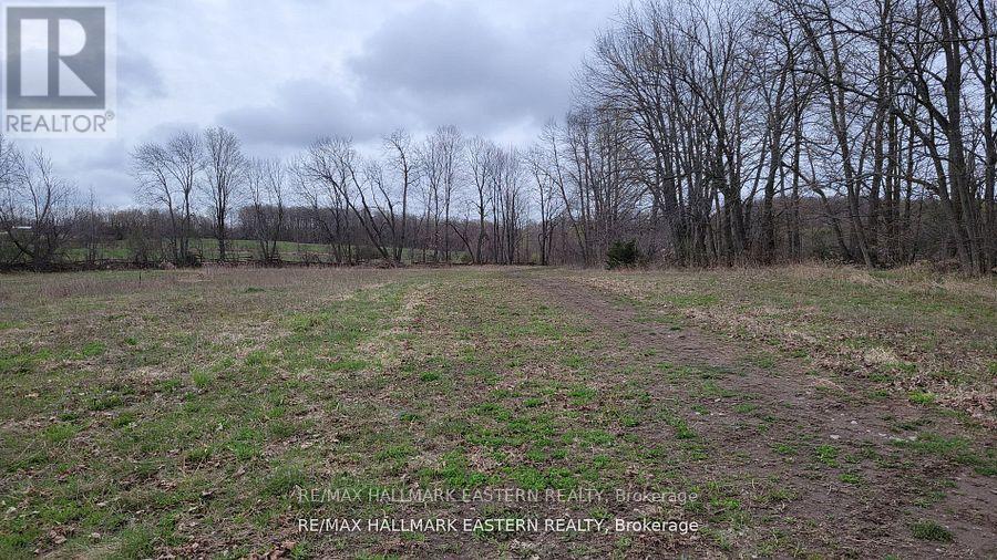 1737 Thirteenth Line, Selwyn, Ontario  K0L 2H0 - Photo 15 - X12949608