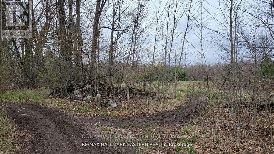 1737 Thirteenth Line, Selwyn, Ontario  K0L 2H0 - Photo 16 - X12949608