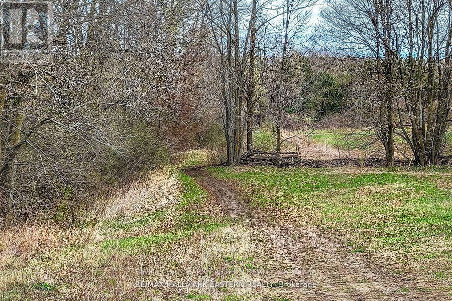 1737 Thirteenth Line, Selwyn, Ontario  K0L 2H0 - Photo 18 - X12949608