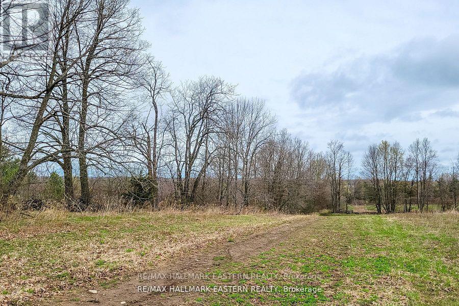 1737 Thirteenth Line, Selwyn, Ontario  K0L 2H0 - Photo 19 - X12949608